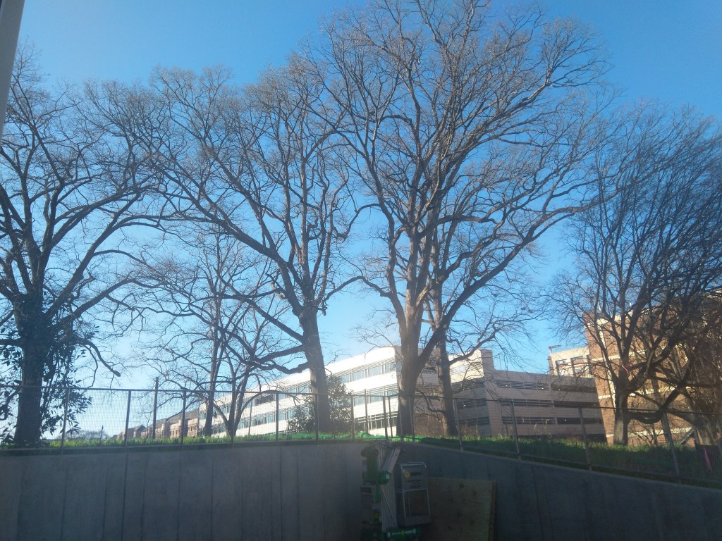 kendeda / nlp&nbsp;afternoons